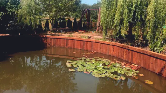 How to Build a Waterfront Bulkhead: Expert Guide